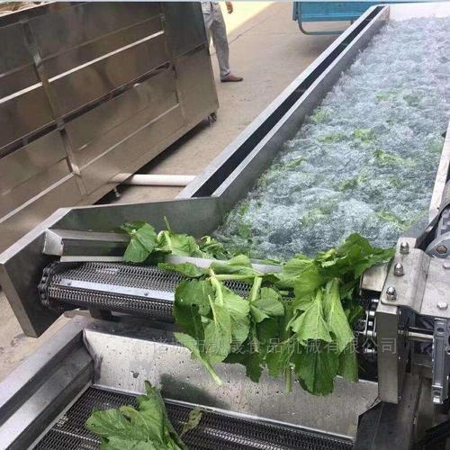 气泡式大型叶类蔬菜清洗机工厂商用洗菜流水线设备